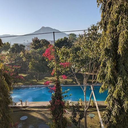 Pushkarorganic - Lux Farm Resort With Pool Exterior photo