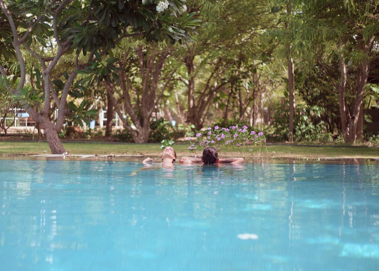 Pushkarorganic - Lux Farm Resort With Pool Exterior photo