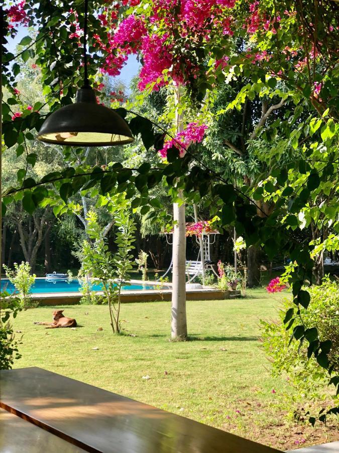 Pushkarorganic - Lux Farm Resort With Pool Exterior photo