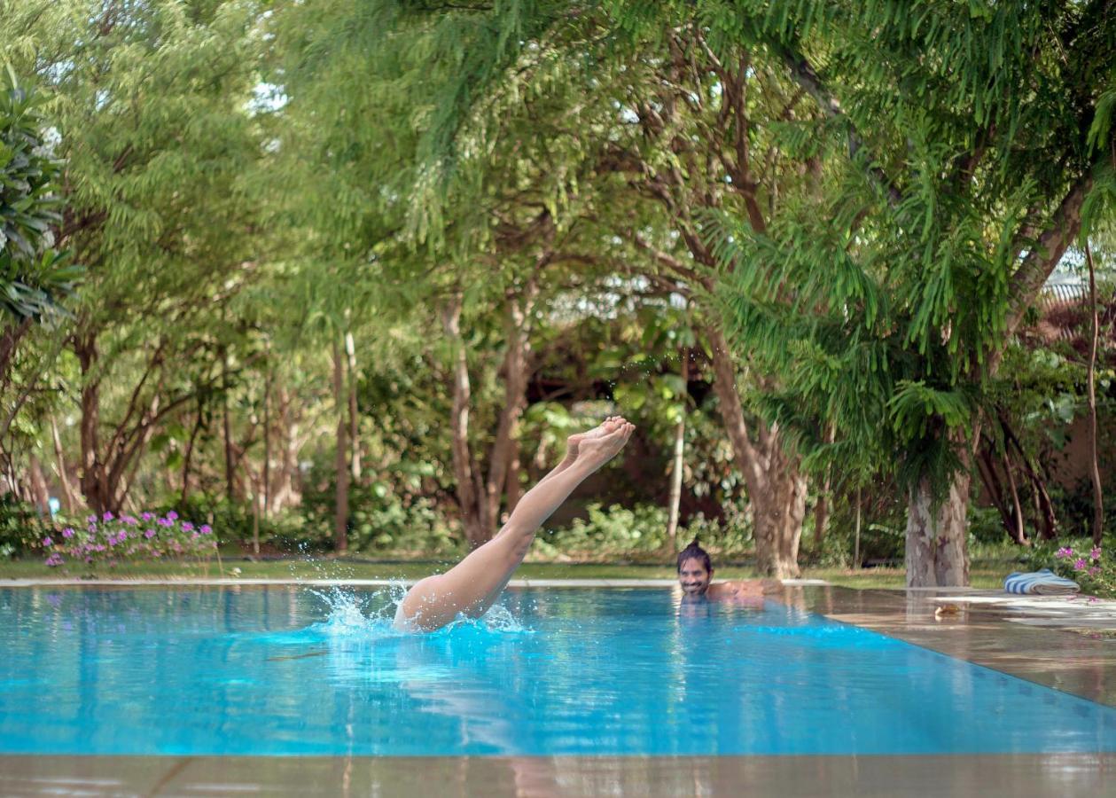 Pushkarorganic - Lux Farm Resort With Pool Exterior photo