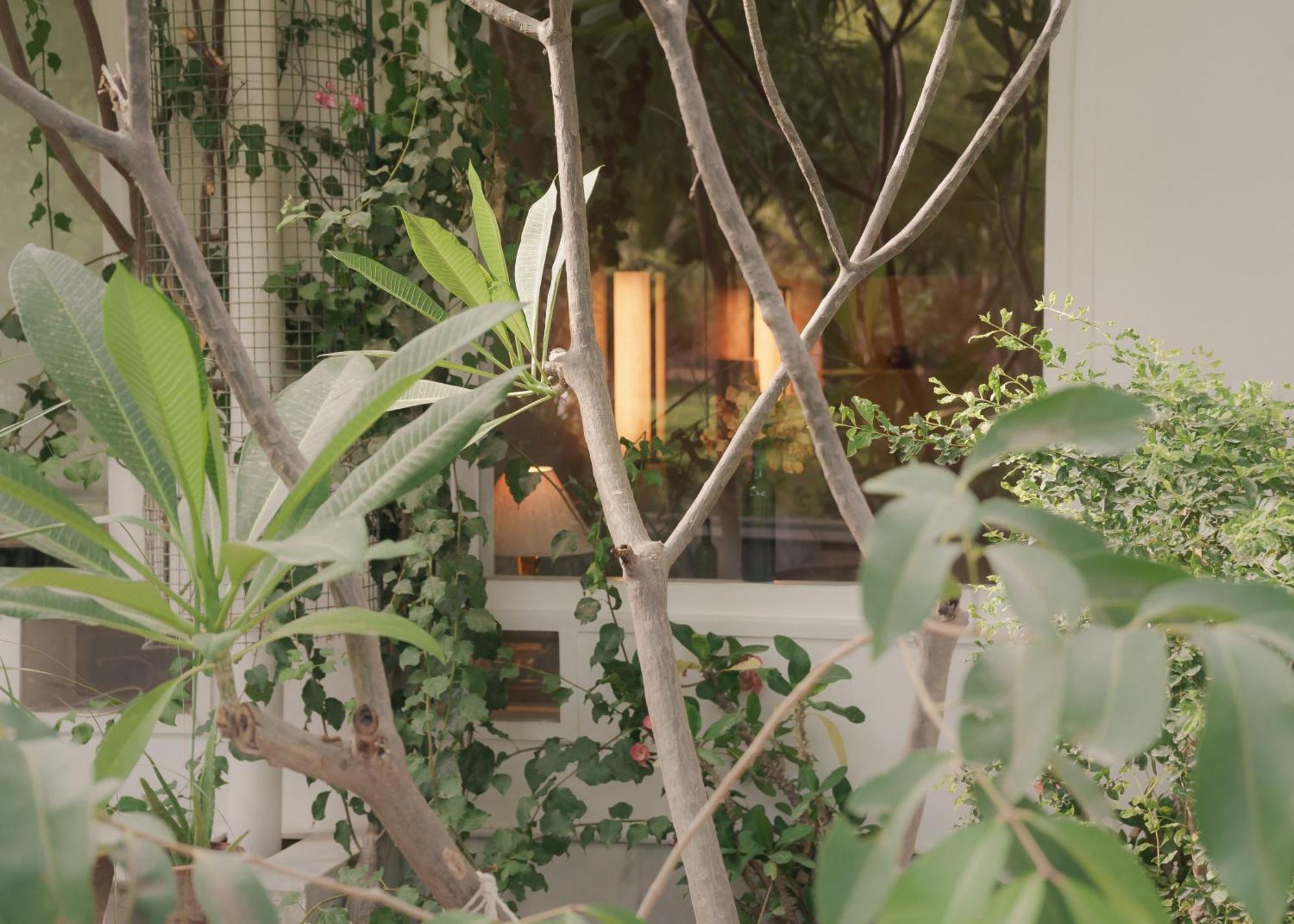 Pushkarorganic - Lux Farm Resort With Pool Exterior photo
